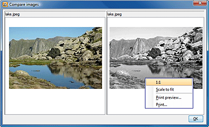 Comparing Images
